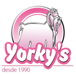 logo1